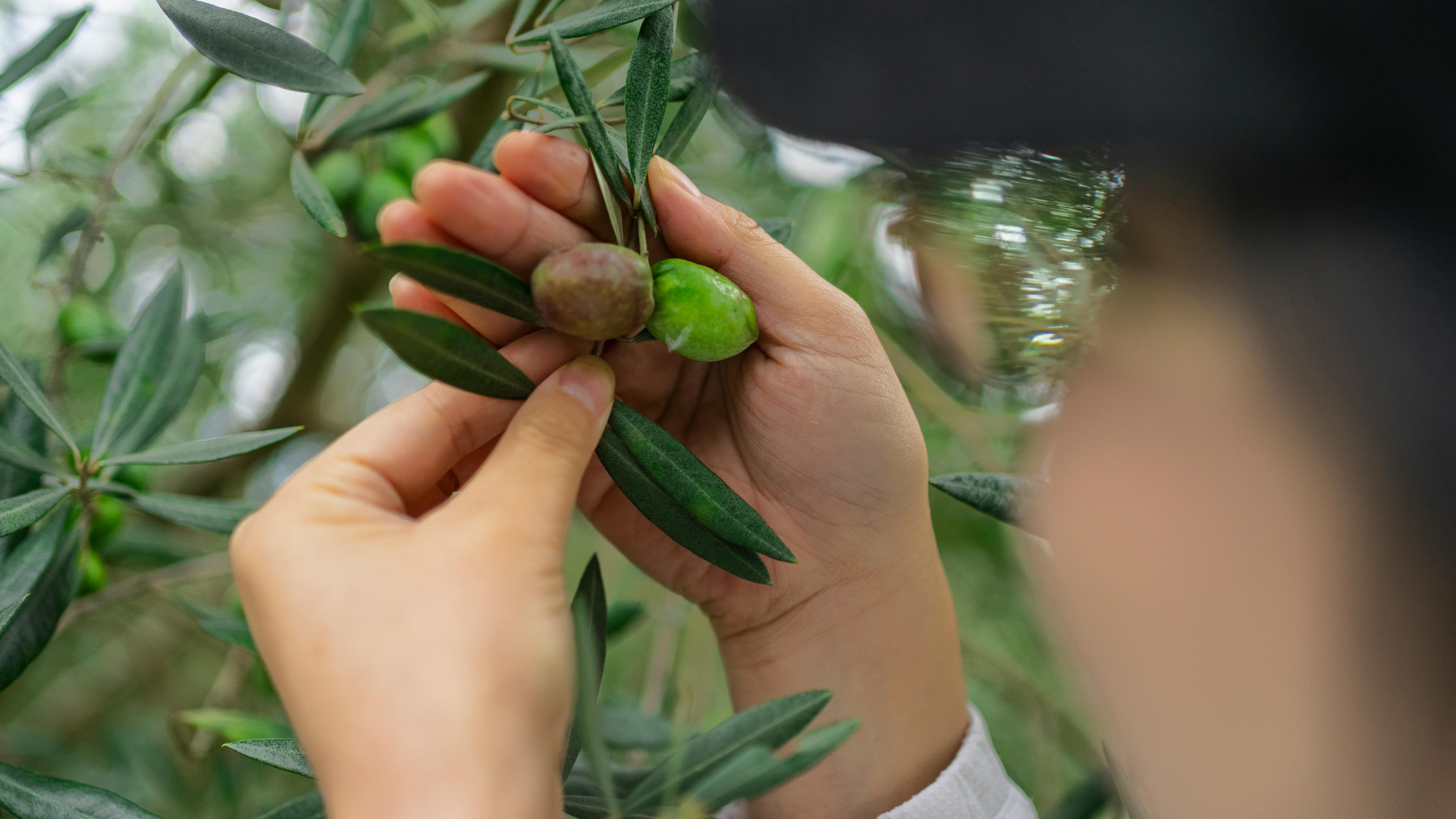 Taste of October: Discover Italy’s Seasonal Delights for Your Fall Table
