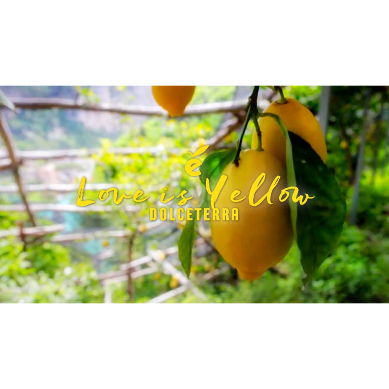 Dolceterra Limoncello of Sorrento Jar and two Handmade glasses - Fine Food Gifts | Italian Gift Baskets – Dolceterra Italian Within US Store