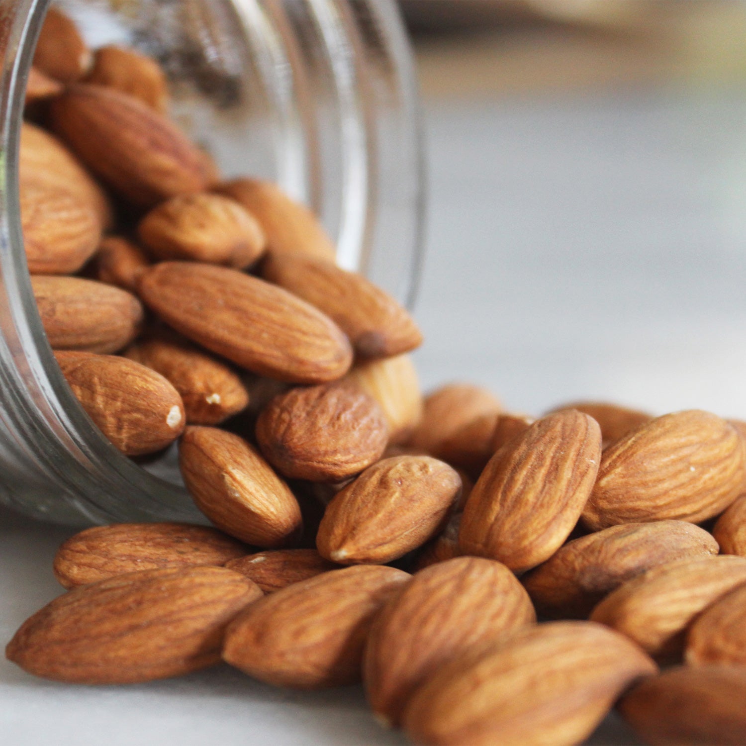 Loison - Classic Veneziana