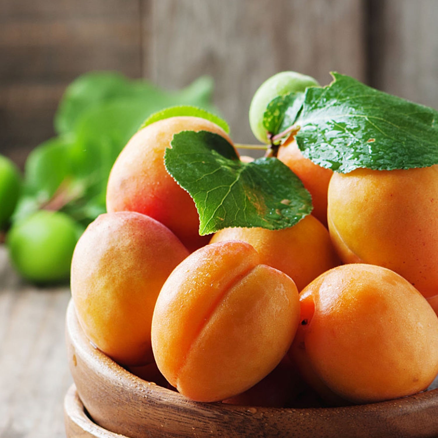 Loison - Apricot and Spices Veneziana