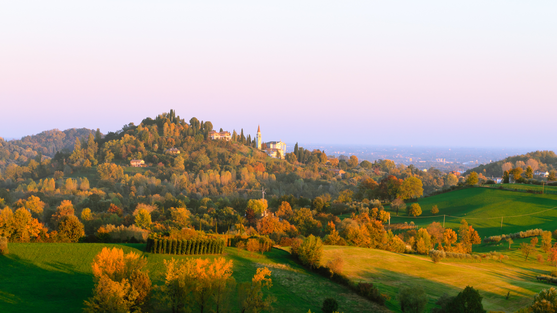 Autumn in Italy: A Season of Transformation and Flavors