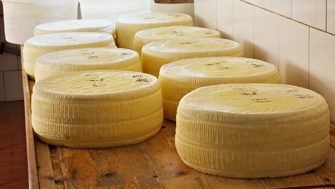 Discover the Excellence of Italian Cheeses