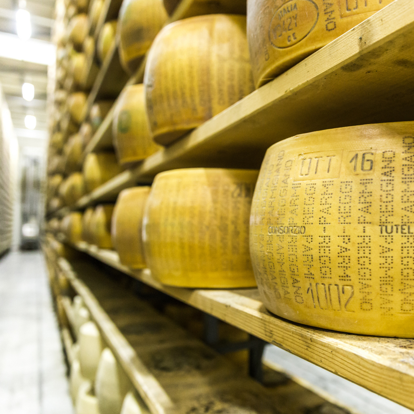 Parmigiano Reggiano DOP 30 mois entier