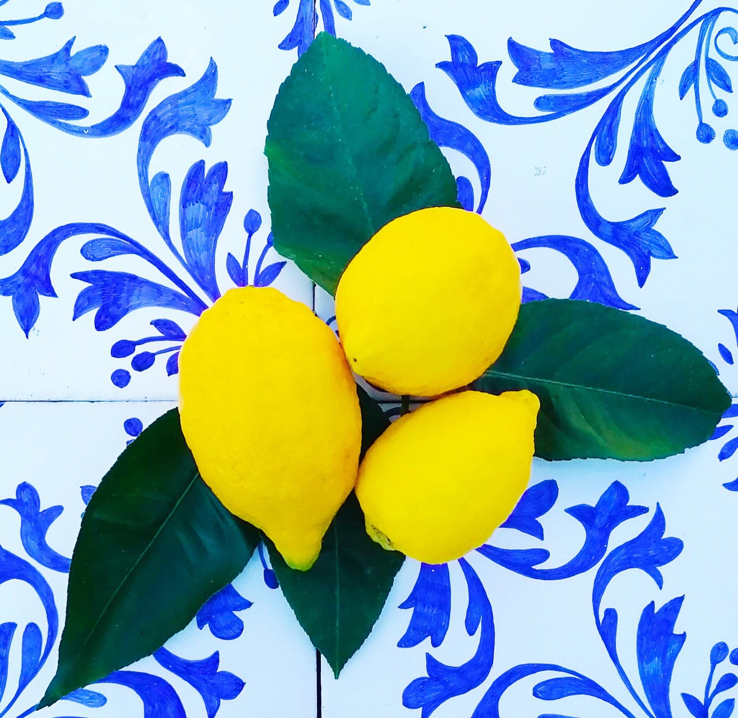 Gâteau artisanal au Limoni di Sorrento