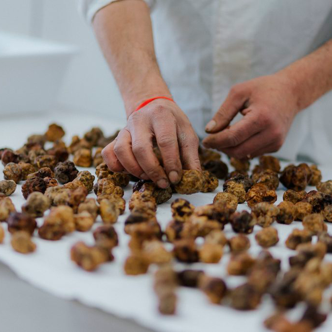 Truffle slices in Extra virgin olive oil