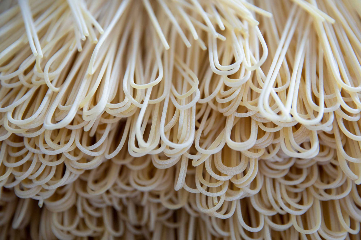 Strampelli Amatrice Spaghetti - Les vraies pâtes pour Amatriciana